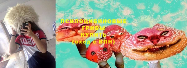 амф Балахна