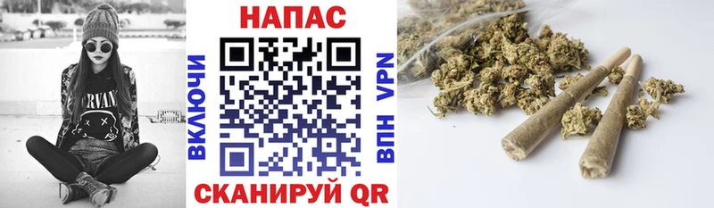 Шишки марихуана индика  купить   Колпашево 
